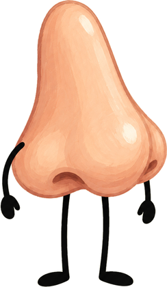 Nose